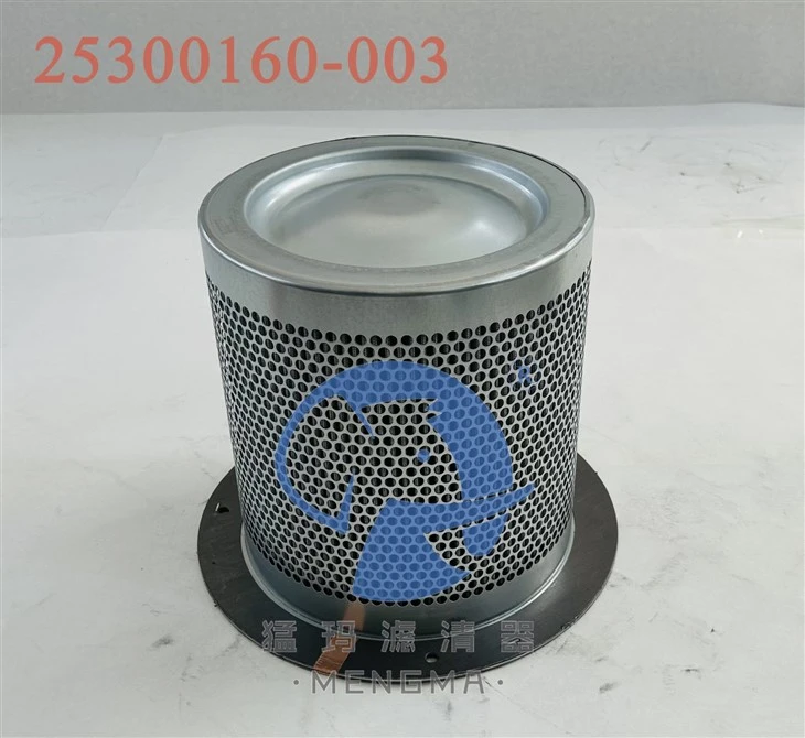 Oil Separator Replacement 25300160-003