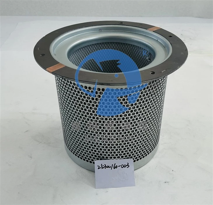 Oil Separator Replacement 25300160-003